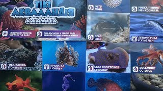 Обзор коллекции TikiWiki AQUALANDIA АКВАЛАНДІЯ