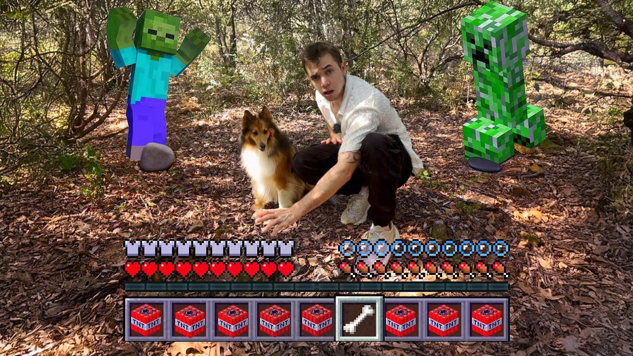 MINECRAFT IRL C'EST QUOI ? - YouTube