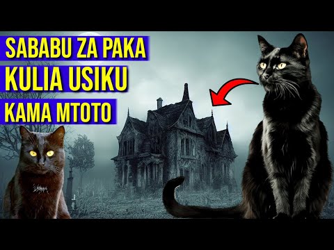 FAHAMU MAAJABU YA PAKA NA KWANINI ANALIA USIKU KAMA MTOTO SABABU NI HIZI USIPUUZE TAZAMA 