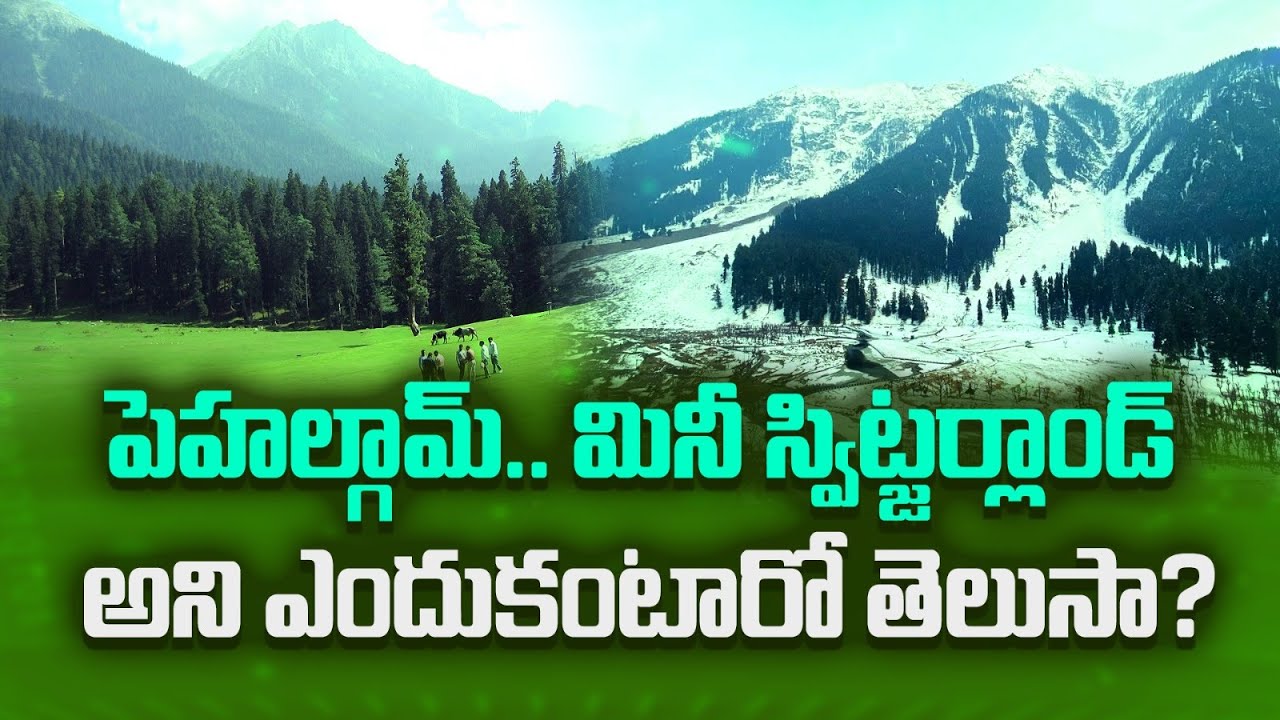 Why is Pahalgam's Baisaran Valley Called Mini Switzerland? India | Stunning Views & Adventure!