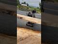 Cottonwood Live Edge Slab Stackin | Lumber Supply | Eric Christopher Art - Live Edge Wood Slabs