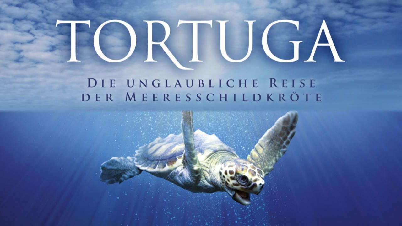 Die Hymne Tortugas HJEMV die-hymne-tortugas-hjemv