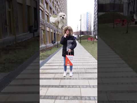 Дождевик Касси нашелся!  - Дождевик Касси нашелся! 