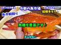 【結構多そう】今朝の魚市場5月18日月曜日の水揚げ状況