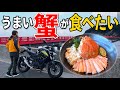 【福井】冬の味覚ツーリング｜究極のカニ丼を求めて福井レンタルバイク旅【Z250】【越前ガニ】