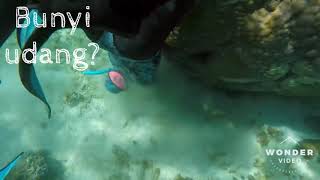 Bunyi udang? #trendingbunyiUdang