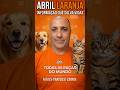 ABRIL LARANJA: INFORMAÇÃO QUE SALVA VIDAS 🐾