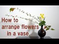 【生け花】よくある壺は使い易い【ikebana】How to arrange flowers in a vase/如何在花瓶中插花/꽃병/Vaso/แจกัน/ваза/flowrer vase