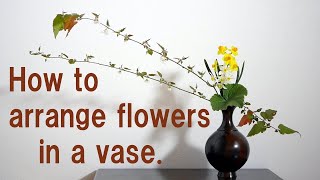 【生け花】よくある壺は使い易い【ikebana】How to arrange flowers in a vase/如何在花瓶中插花/꽃병/Vaso/แจกัน/ваза/flowrer vase