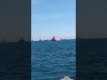 A Distant Ship on the Horizon ⛴️🌊#sea #ship
