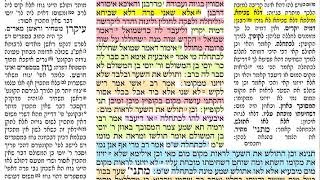 בכורות כה 25 ראשון ז׳ אייר תשע״ט מסכת בכורות דף כה Daf yomi Bechorot daf 25 Shmuel Navon