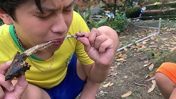 Cá lóc nướng rơm thơm phức luôn cả nhà ơi