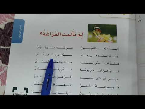 لم تألمت الفراشة لغتي الصف الرابع