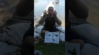 Circle Video #4