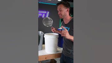 Balloons in Liquid Nitrogen are Crazy!