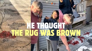 Cleaning This Rug Full Of Urine & Feces FOR FREE