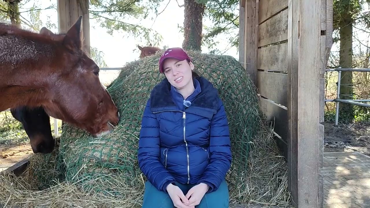 Koppen bei Pferden 🐎 