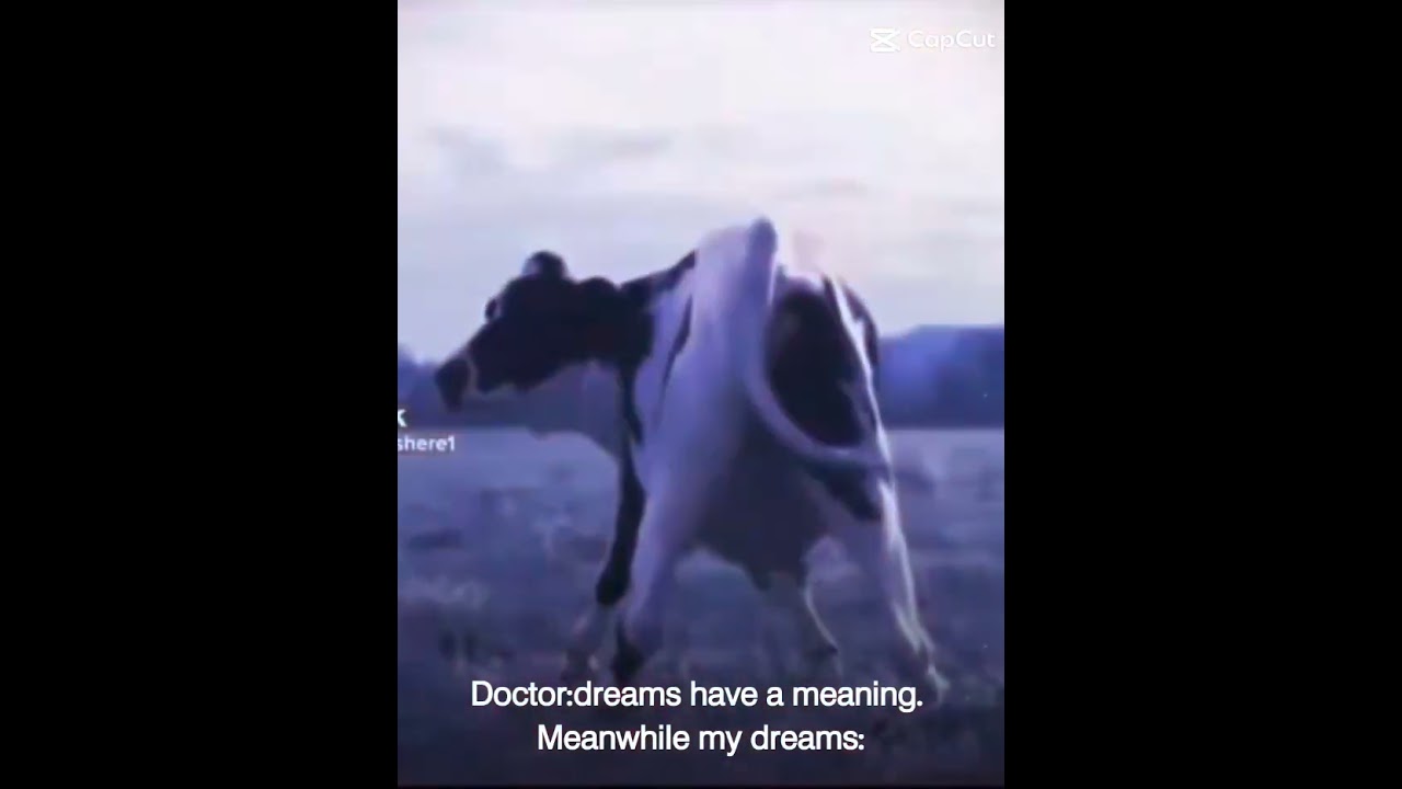 𝗍𝗁𝖾 𝗍𝗐𝖾𝗋𝗄𝗂𝗇𝗀 𝗍𝗁𝗈𝗈 😭✋ 