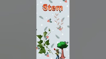 SOF Olympiad For Class 1 | Plants #shorts #youtubeshorts #shortsvideo #shortsfeed #science