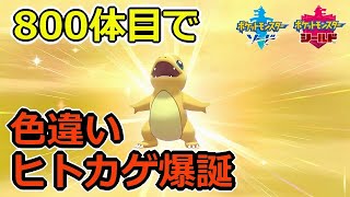 だらだら孵化作業してたら色違いヒトカゲが産まれた ポケモン剣盾 ソードシールド Youtube だらだら孵化作業してたら色違いヒトカゲが産まれた ポケモン剣盾 ソードシールド Youtube