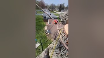 Span Rigging 👌