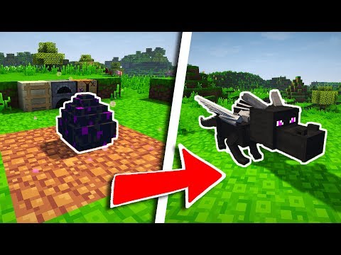 COMMENT FAIRE ÉCLORE L'OEUF DE DRAGON DANS MINECRAFT !