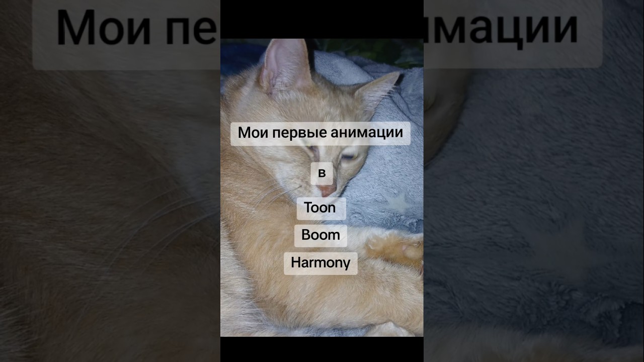 Мои первые анимации в Toon Boom Harmony 