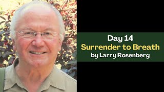 Day 14 -Surrender to Breath by Larry Rosenberg