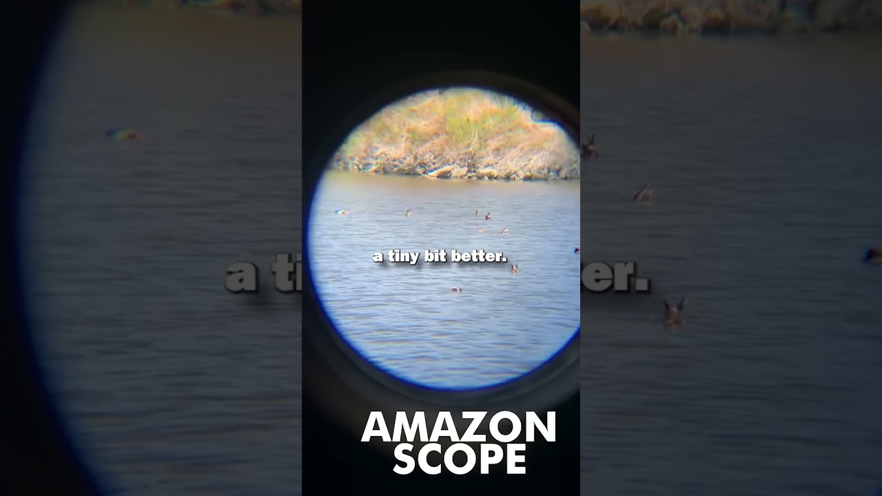 Which $30 Scope is Better?