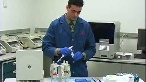 MinElute 2009 : 09 : LAB O