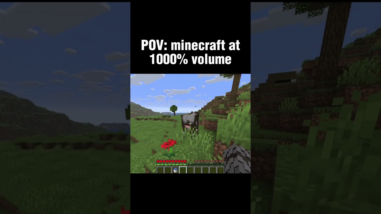 this video contains noise...