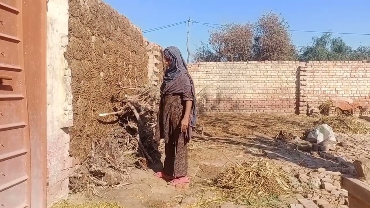 Humne aaj mix sabji wale chawahain.. banaay teyhMisbha family vlogs 