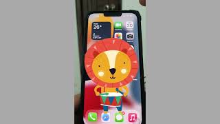 IPHONE 13 PRO MAX | AIR PLANE MODE | QUICK TUTORIAL- So easy
