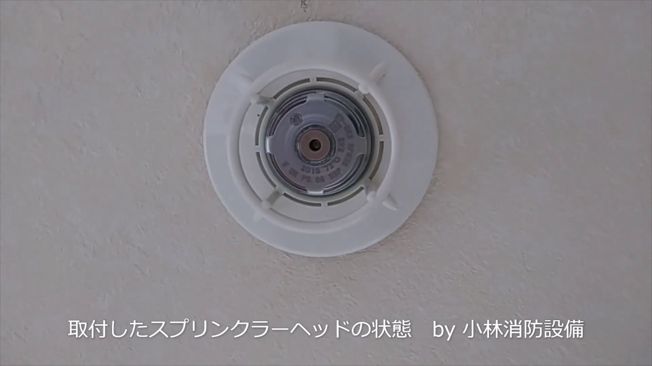 取付したスプリンクラーヘッドの状態（SPヘッドとSPヘッド用ガード