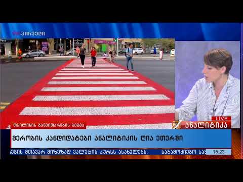 მერობის კანდიდატები  ანალიტიკის ღია ეთერში  -  ელენე ხოშტარია