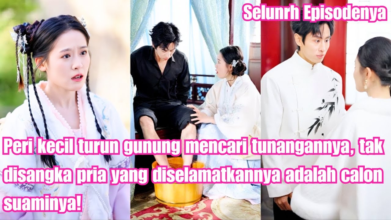 Peri kecil turun gunung mencari tunangannya,tak disangka pria yang diselamatkannya adalah calon