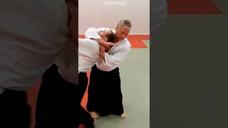 Aikido in slow motion: Counter techniques, KAESHIWAZA, on IRIMINAGE, by Stefan Stenudd