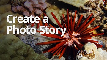 WeVideo Lesson: Create a photo story on WeVideo
