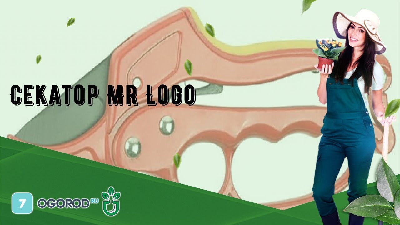 Mr Logo - YouTube