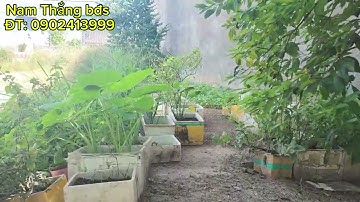 Bán đất tái định cư khu công nghiệp Vsip 2 Bình Dương, Vị trí kinh doanh hoặc xây nhà trọ rất tốt