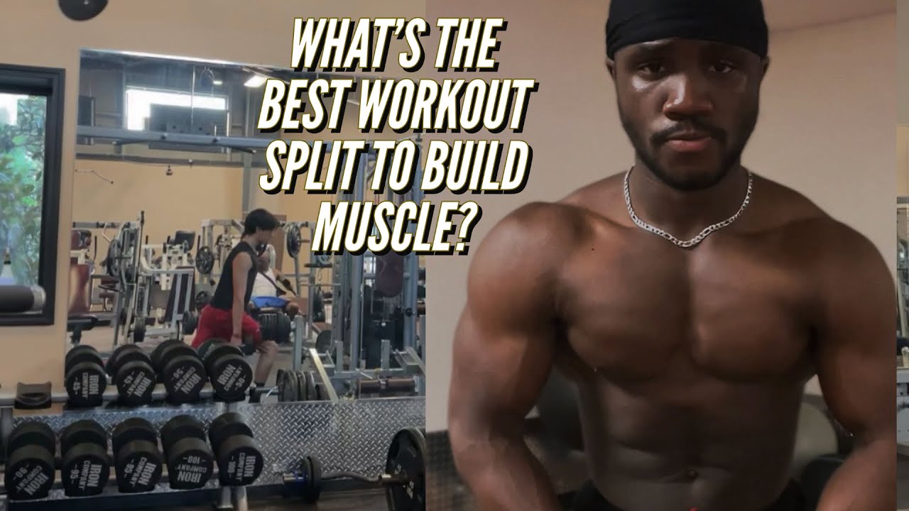 WHAT'S THE BEST WORKOUT SPLIT TO GAIN MUSCLE (Explained) - YouTube