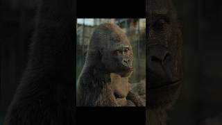"Draw What You Dream" 🎨🦍 | The One and Only Ivan (2020) Heartwarming Freedom Scene