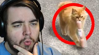 Unusual Memes Video With Red Circle Clickbait Thumbnail