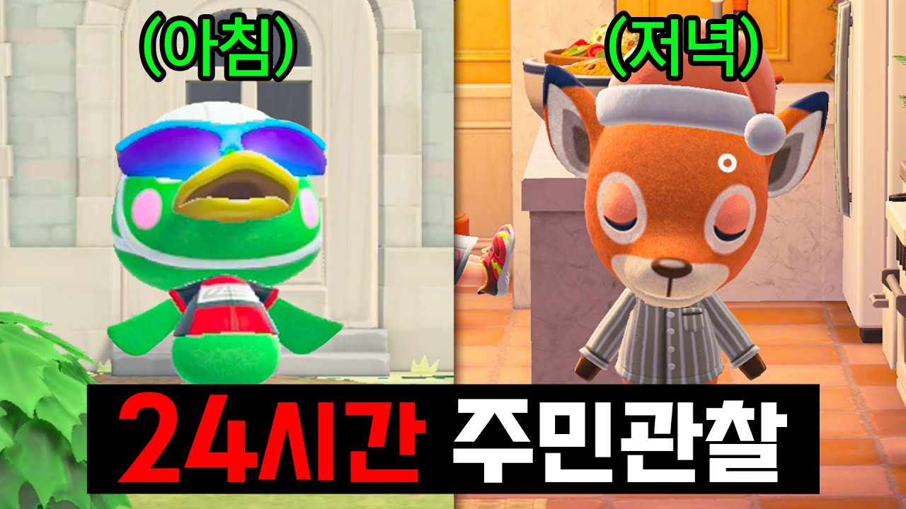 놀라운 주민들의 뒷모습을 공개합니다