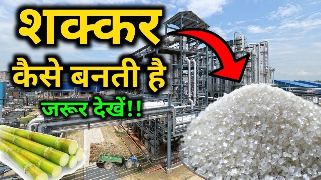 देखिए गन्ने से चीनी कैसे बनती है Sugar Kaise Banti hai Chini Kaise Banti hai Sugar