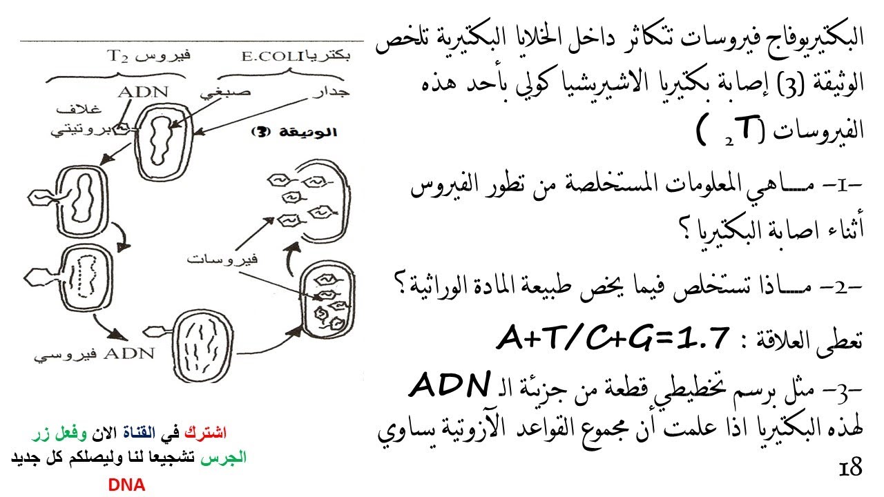 تمارين فروض واختبارات الفصل الثاني في العلوم الطبيعية للسنة الثانية ثانوي