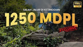 Naik Gunung Butik Jonggol – COCOK BUAT PEMULA? INI RUTE LENGKAPNYA‼️