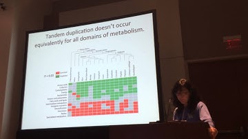Rhee: Patterns of metabolic network evolution in plants
