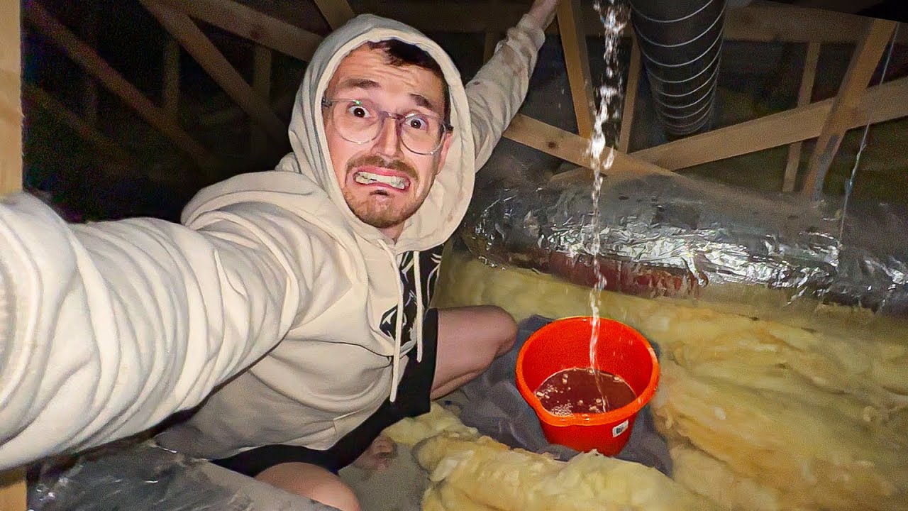 We’ve had an Absolute Disaster in the House! 🚨🏡
