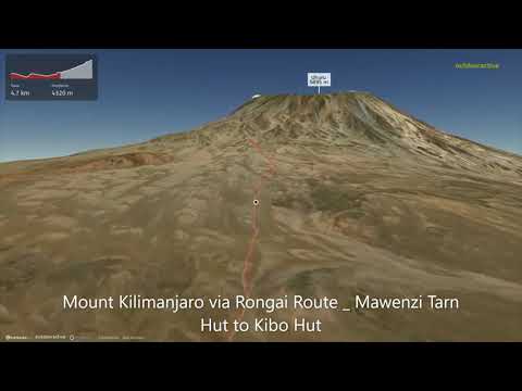 Mount Kilimanjaro via Rongai Route: Mawenzi Tarn Hut to Kibo Hut